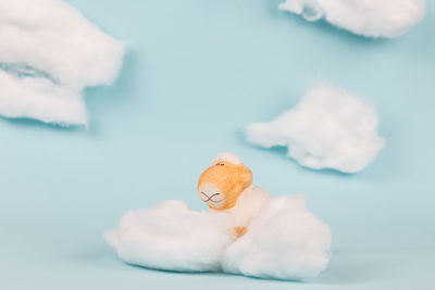 A sheep in the clouds. cute set made by cotton balls and a sheep made with clay.