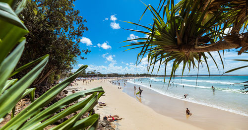 Palm trees on beach against sky