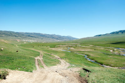 Scenic view of landscape against clear blue sky