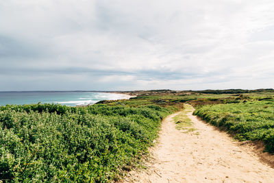 Scenic view of sea against sky