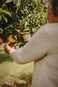 Close-up of hand holding plant