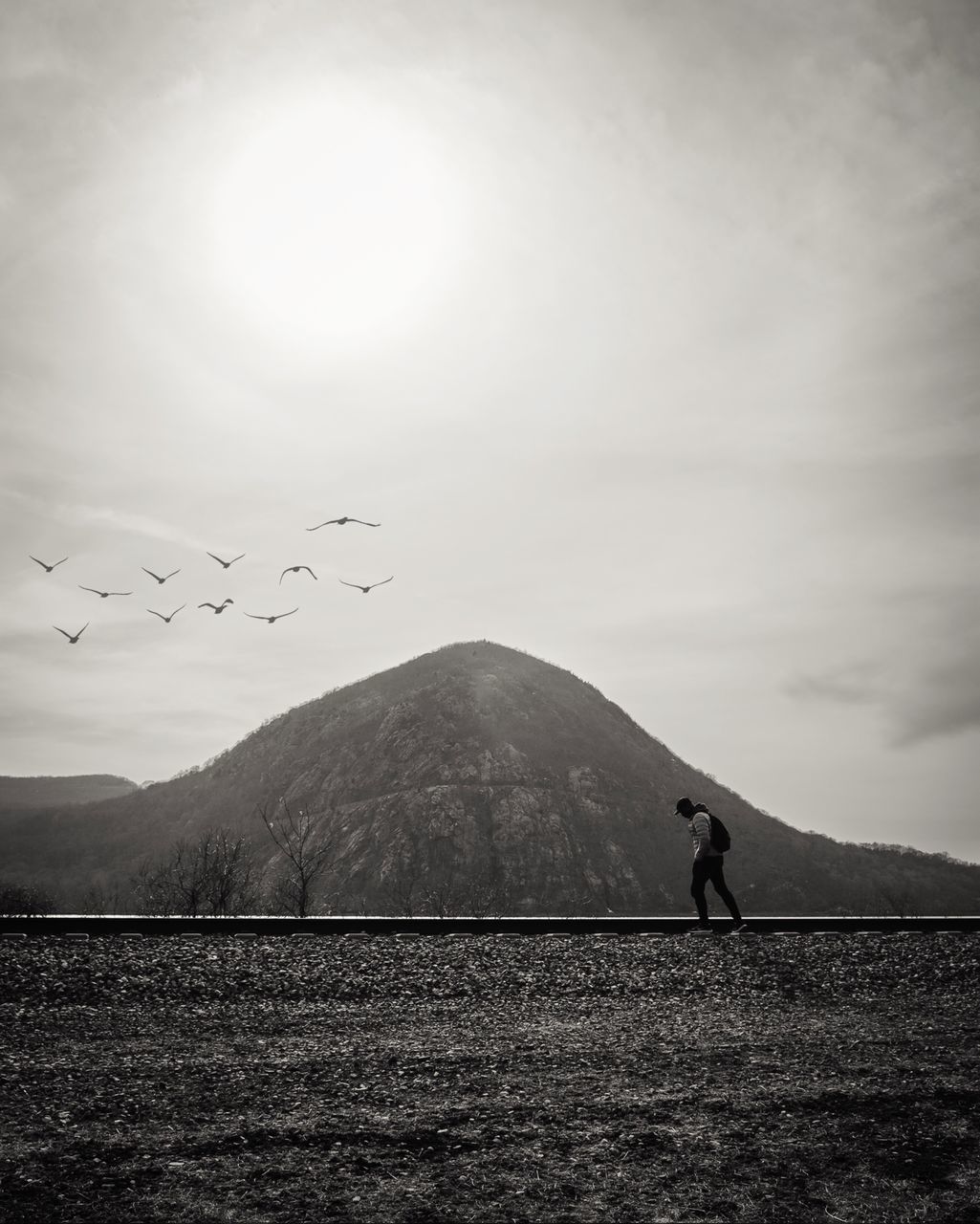 sky, mountain, one person, beauty in nature, real people, cloud - sky, nature, scenics - nature, lifestyles, bird, vertebrate, standing, day, flying, land, mountain range, group of animals, outdoors