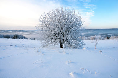 Winter morning in the mountain valley