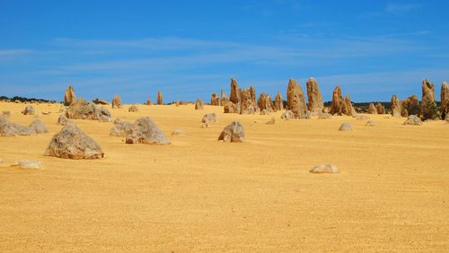 Panoramic view of landscape against sky