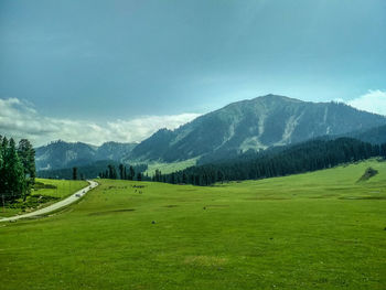 Scenic view of landscape and mountains against sky