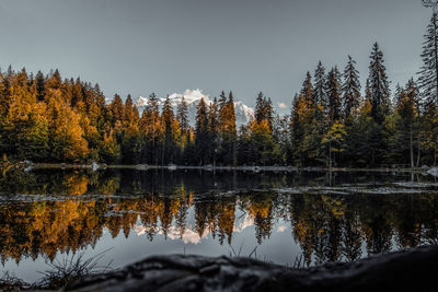 Trees by lake in forest against sky during autumn