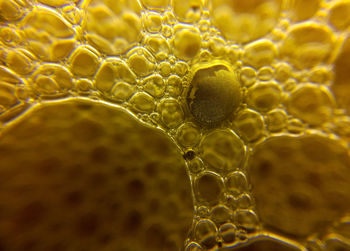 Close-up of bubbles in water