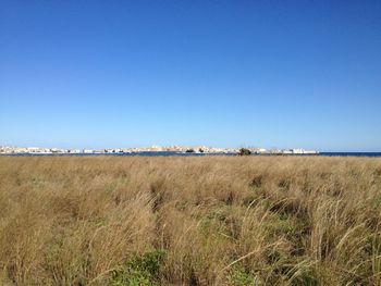 Scenic view of beach against clear blue sky