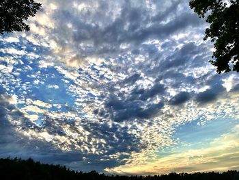 Low angle view of silhouette trees against dramatic sky