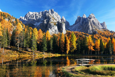 Scenic view of lake by trees against sky