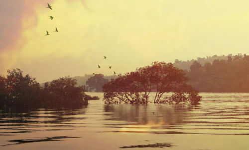 Scenic view of lake against sky during sunset