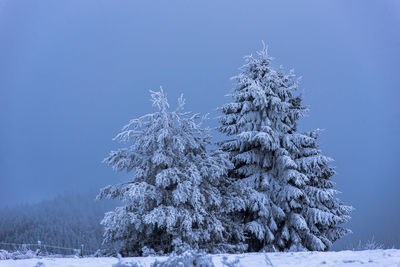 Trees on snow covered field against clear blue sky