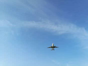 Low angle view of airplane flying in sky