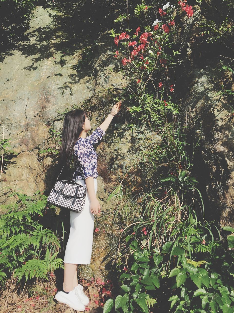 lifestyles, grass, plant, leisure activity, casual clothing, full length, young adult, growth, standing, young women, tree, person, field, green color, sunlight, three quarter length, nature, holding