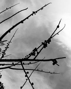Low angle view of power lines