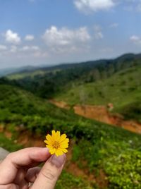 Person hand holding yellow flower