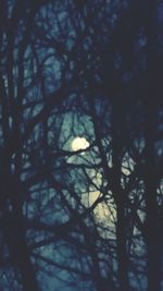 Low angle view of bare trees against sky