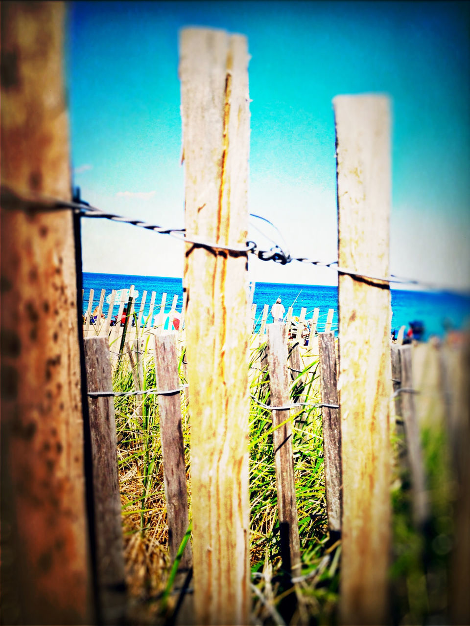 CLOSE-UP OF BARBED WIRE FENCE