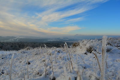 Snow covered field against sky during sunset