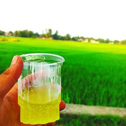 Close-up of drinking glass against clear sky