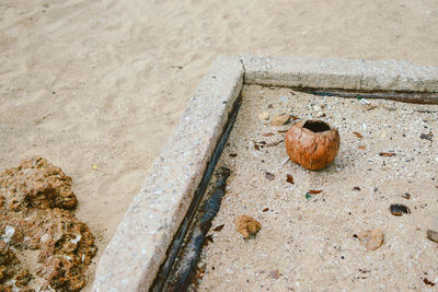 High angle view of crab on sand