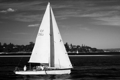 Boats sailing in sea