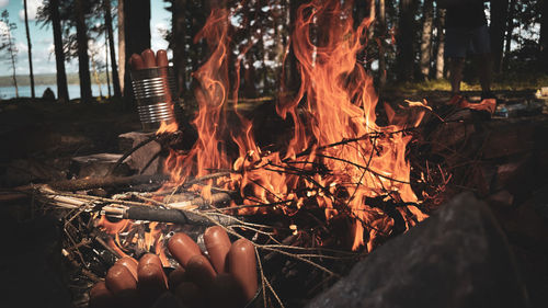 Low angle view of fire on log