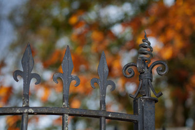 Low angle view of metallic fence during autumn