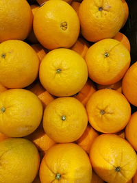 Full frame shot of yellow fruits