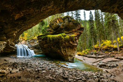 Scenic view of waterfall in forest