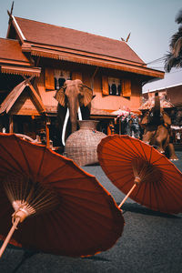 Beautiful in thai