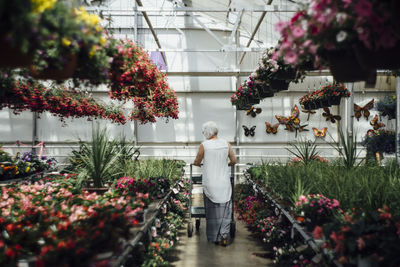 Rear view of mature woman walking at greenhouse