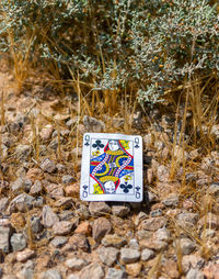 High angle view of sign on rock