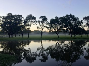 Reflection of trees in water