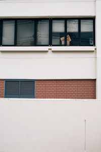 Low angle view of window on building