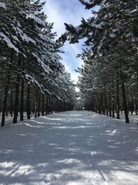 winter