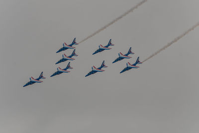 Low angle view of birds flying in sky