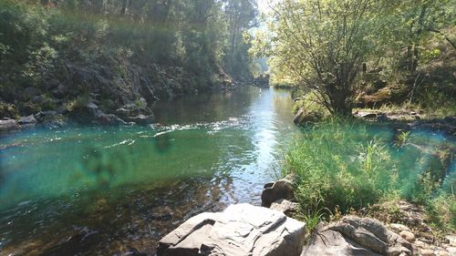 Rocks in river