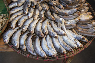 High angle view of fish for sale at market stall