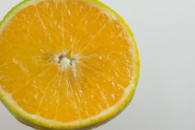 Close-up of orange slice against white background
