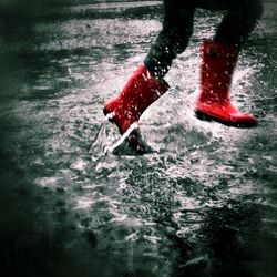 Reflection of trees in water