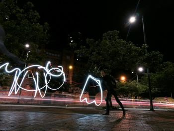 Silhouette of trees in park at night