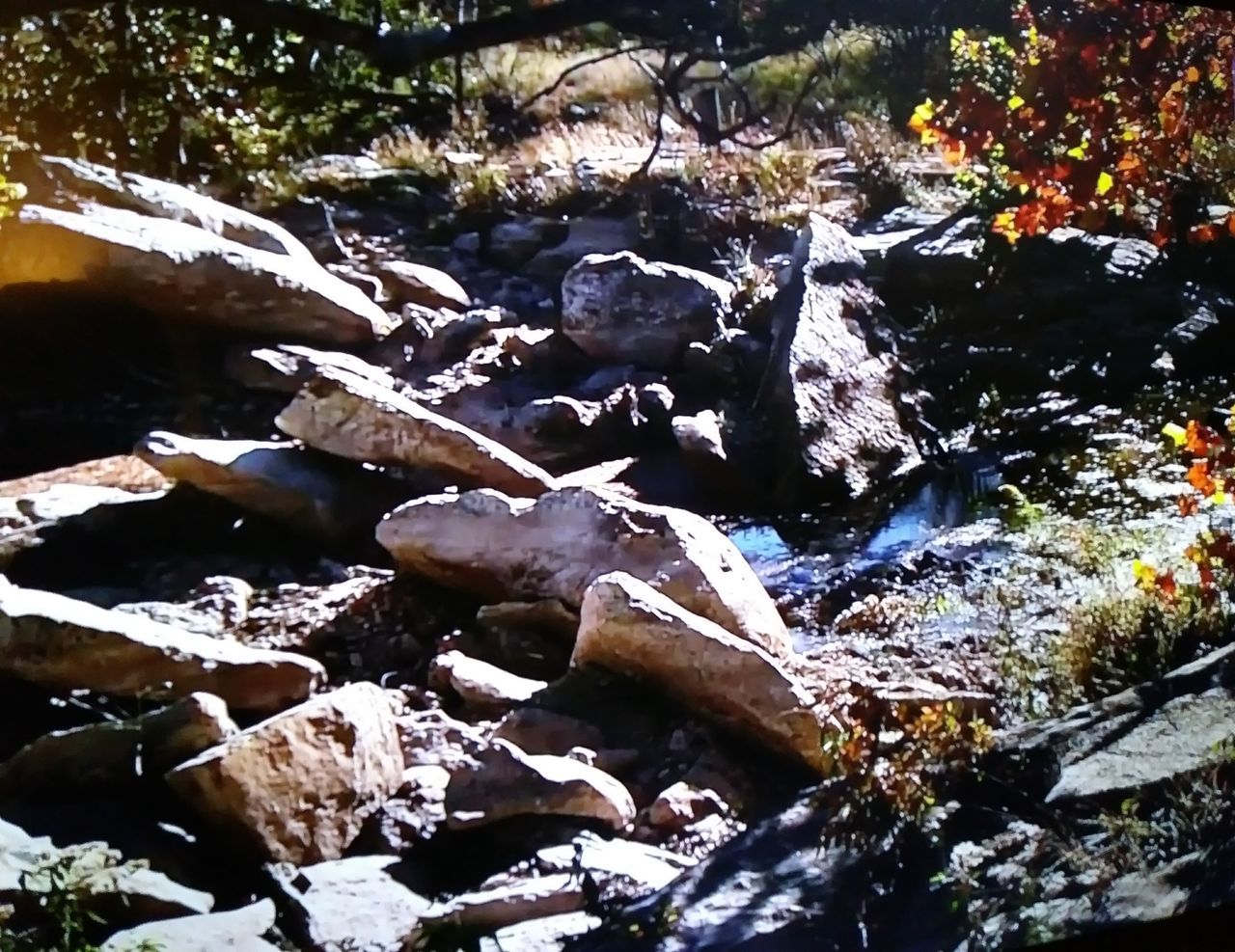 ROCKS IN RIVER DURING WINTER