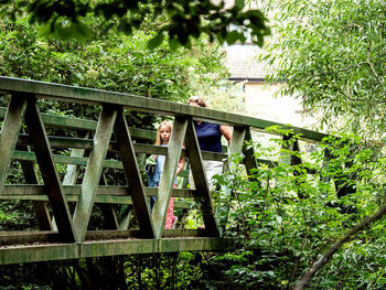 View of footbridge in forest