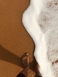 Low section of woman standing on beach