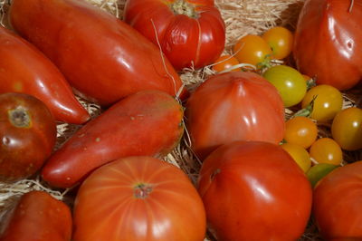 Full frame shot of tomatoes