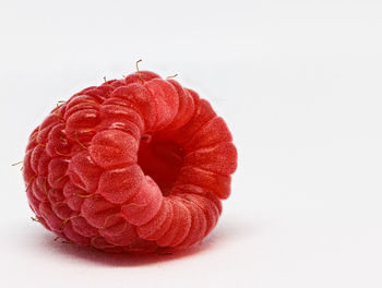 Close-up of donut against white background