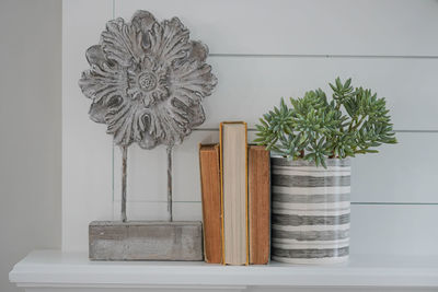 Close-up of potted plant on table against wall at home