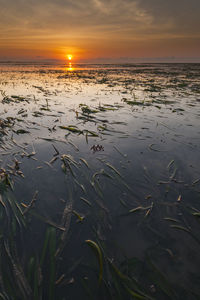 Scenic view of sea against sky during sunset