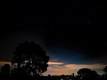 Silhouette trees against star field at night